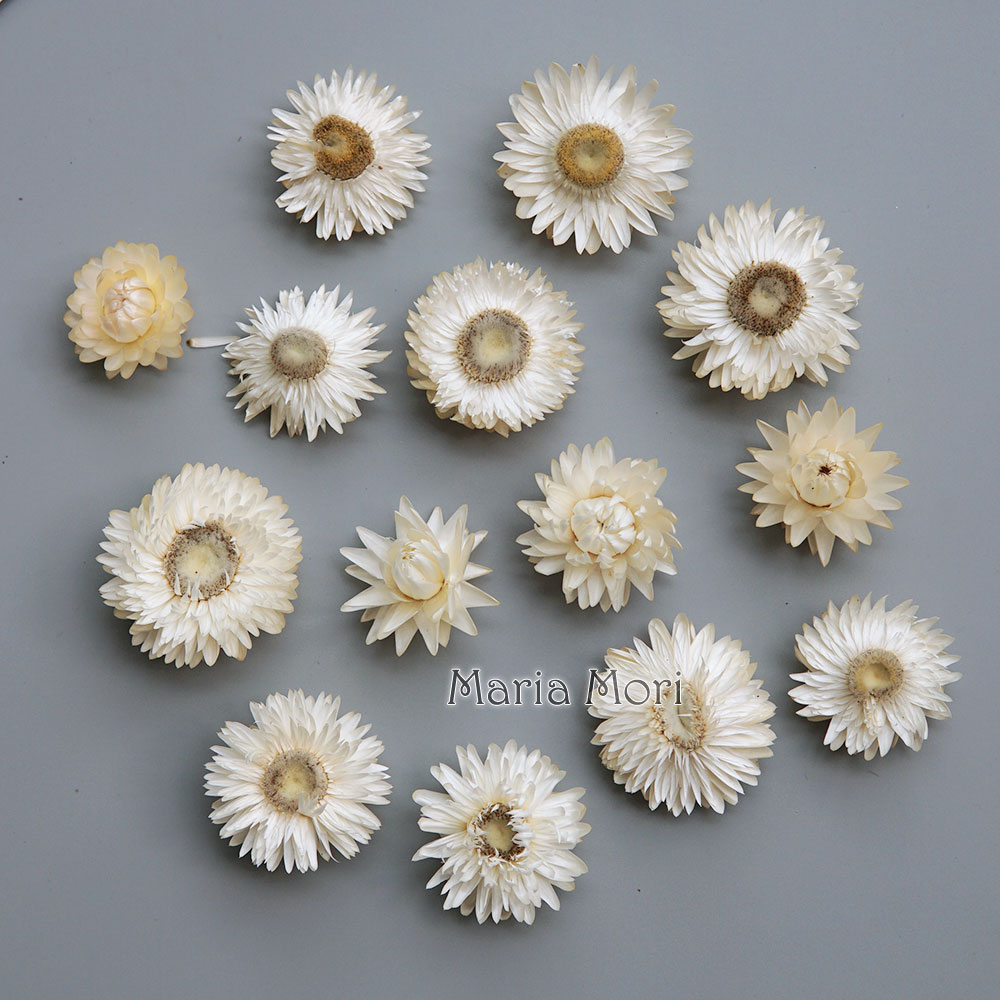 Baby Products List - Natürlicher getrockneter bunter Chrysanthemenkranz, handgefertigter Haarschmuck,